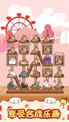 猫咪小家截图2 猫咪小家截图2