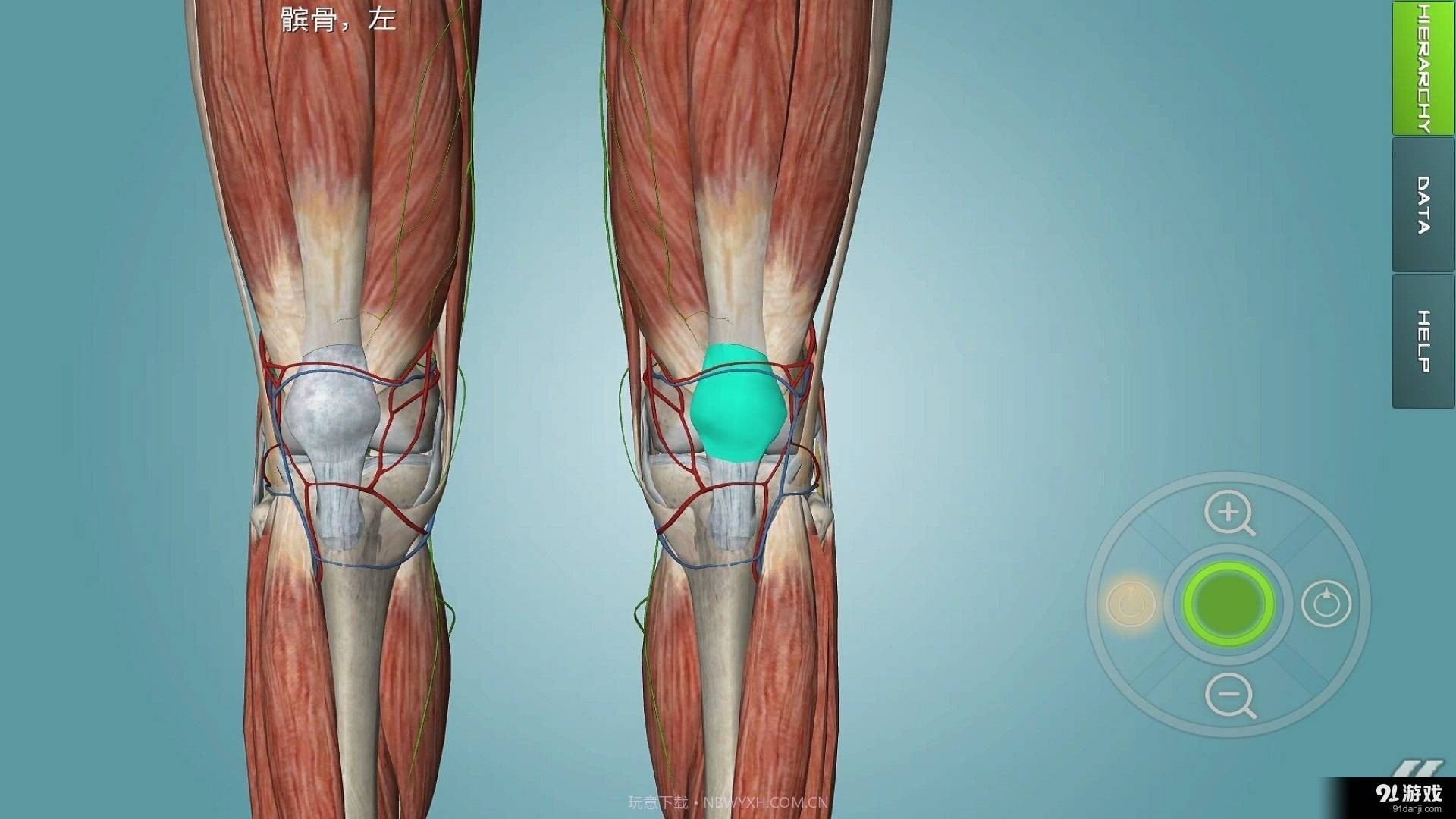 人体解剖学图集截图3