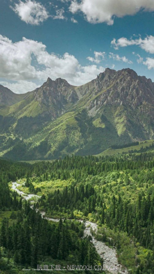 林草督查截图1 林草督查截图1