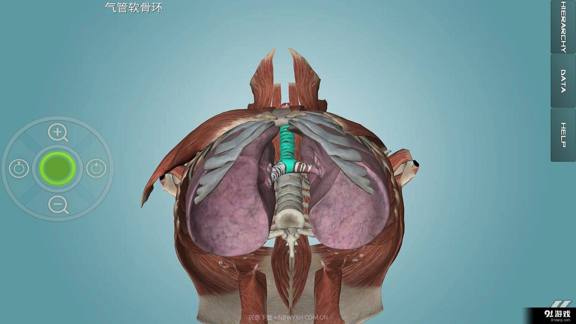 人体解剖学图集截图4