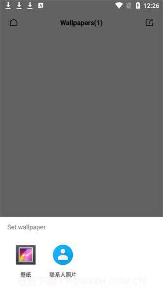 夏至图标包截图3