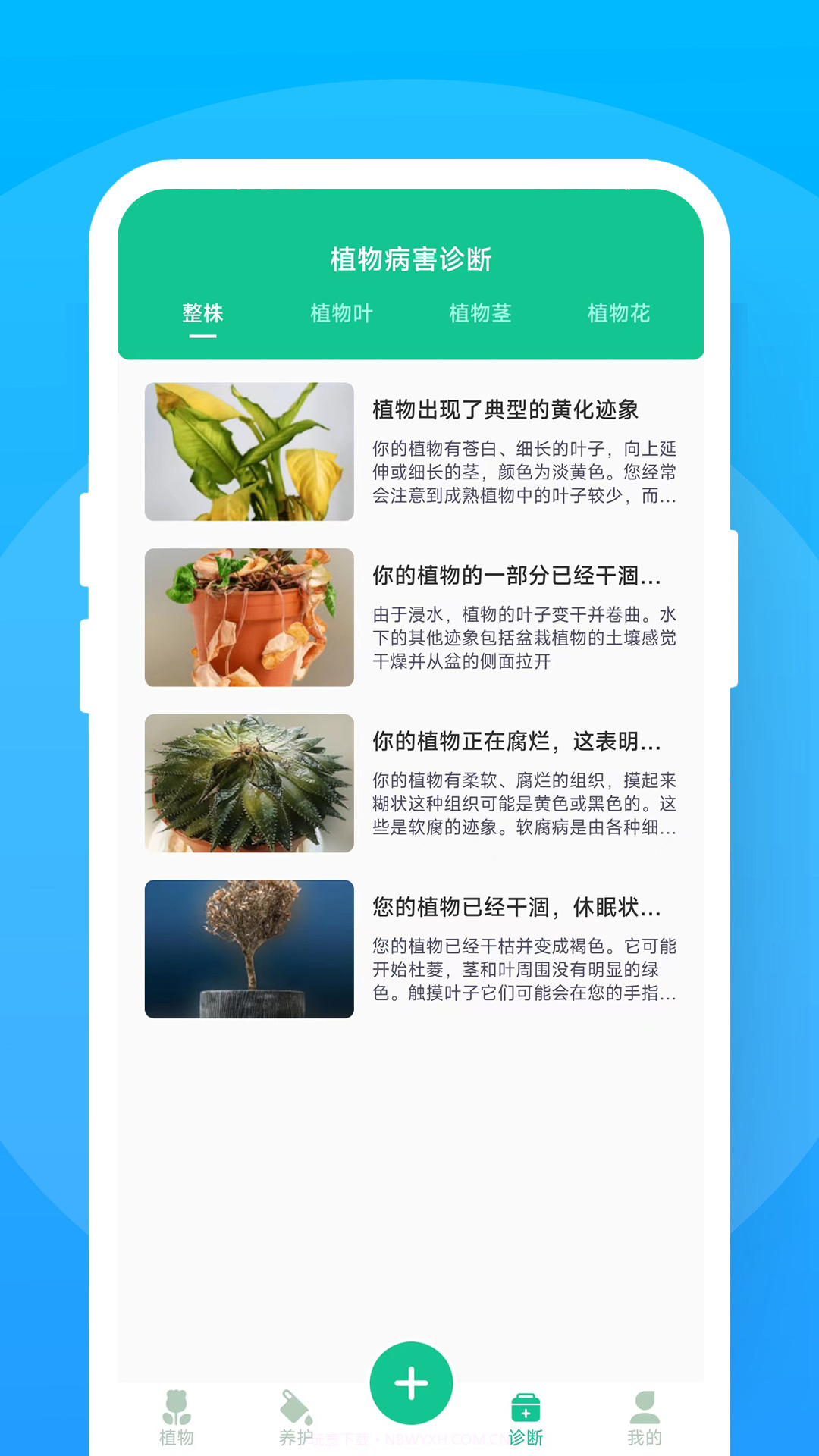 暖暖花花截图2 暖暖花花截图2