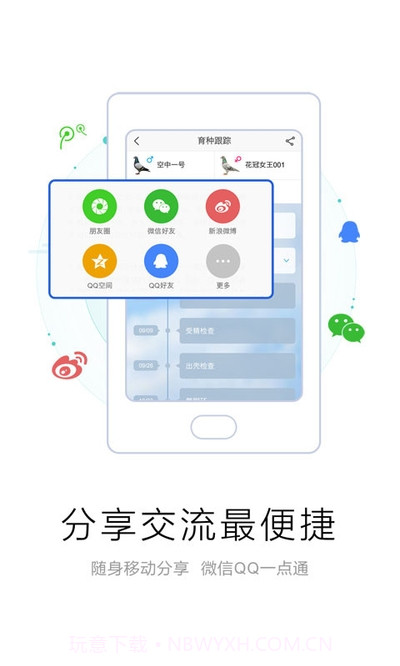 爱鸽者截图2