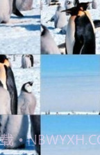 企鹅拼图游戏截图3