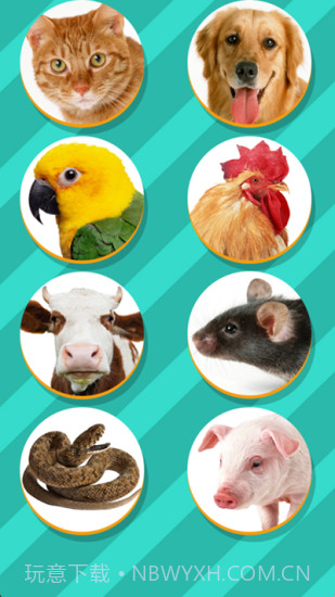 pettranslator截图1