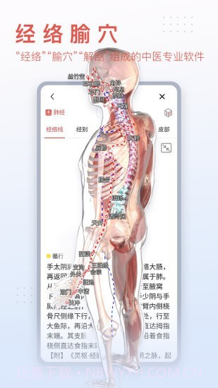 3Dbody艺用截图2 3Dbody艺用截图2