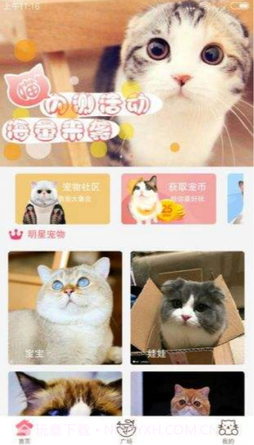 猫咪app截图1 猫咪app截图1