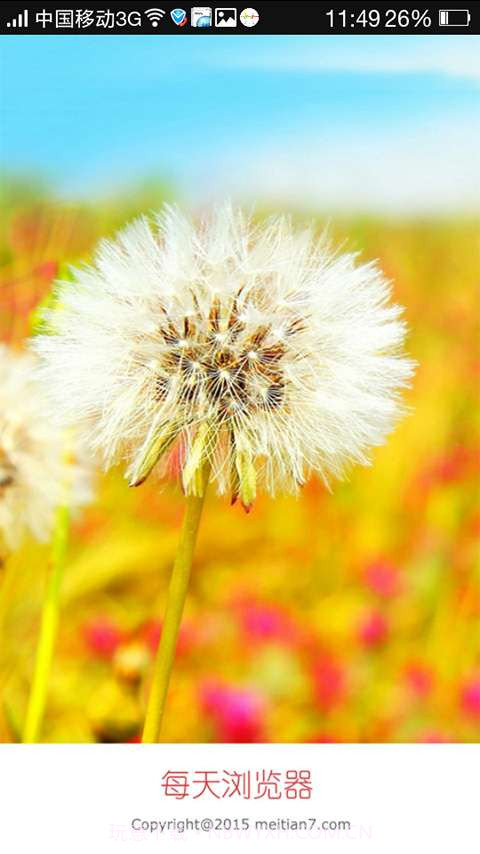 每天浏览器截图5 每天浏览器截图5