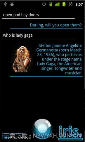 Iris虚拟助手截图1 Iris虚拟助手截图1