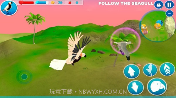 小小鹦鹉模拟器截图4