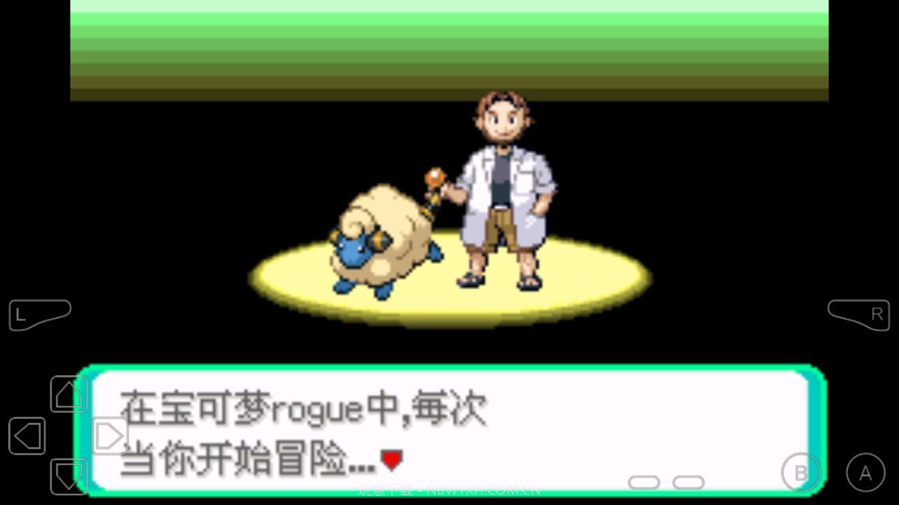口袋妖怪rogue截图1 口袋妖怪rogue截图1