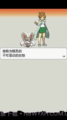 口袋妖怪：白2 649版截图2