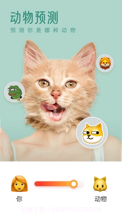 PicsMagic截图1 PicsMagic截图1