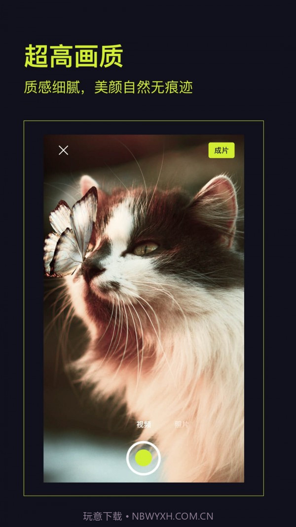 开拍action截图1 开拍action截图1