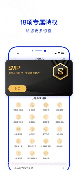 布鲁帝2019国际版截图4