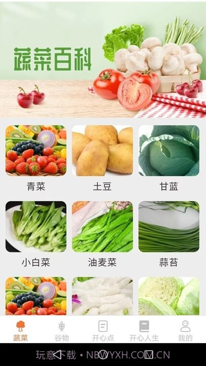 绿色菜园子截图4