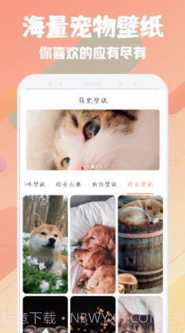 萌宠翻译器截图3