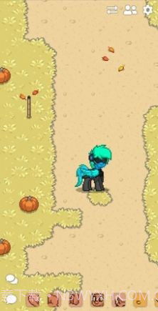 ponytown小马镇截图2 ponytown小马镇截图2