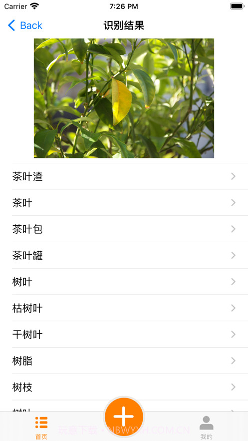 大全垃圾识别分类截图3 大全垃圾识别分类截图3