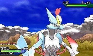 口袋妖怪究极之月9云游戏截图2 口袋妖怪究极之月9云游戏截图2