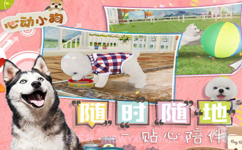 我的心动小狗截图1