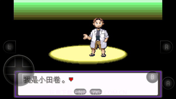 口袋妖怪:漆黑的魅影截图1 口袋妖怪:漆黑的魅影截图1