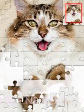 智能拼图游戏1000截图2 智能拼图游戏1000截图2