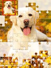 智能拼图游戏1000截图3 智能拼图游戏1000截图3