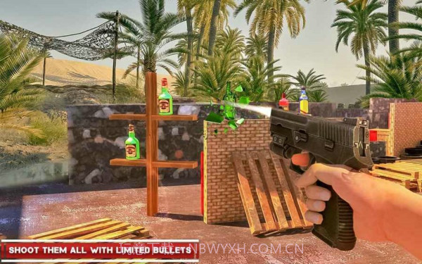 瓶子射击专家截图1
