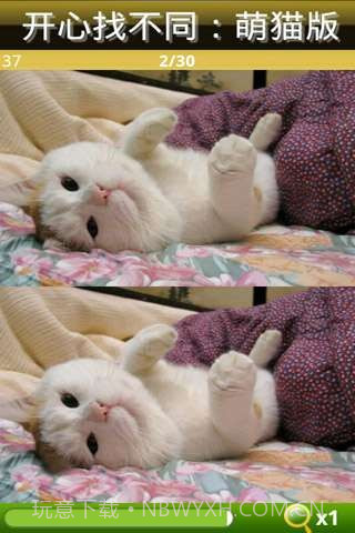开心找不同-萌猫版截图3