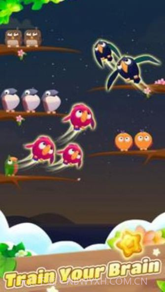 彩色鸟排序截图1 彩色鸟排序截图1