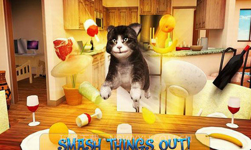 可爱猫大冒险截图3 可爱猫大冒险截图3