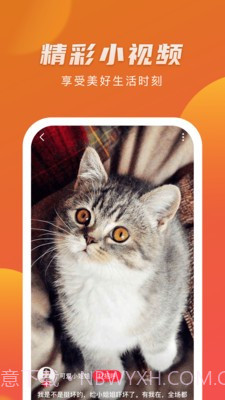 优赏短视频截图2