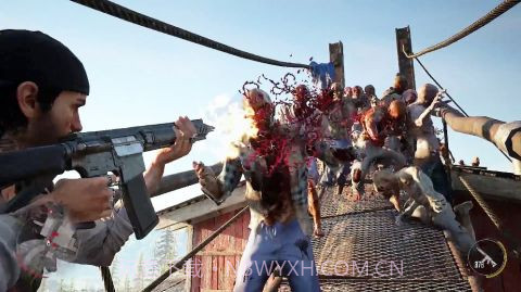 往日不再最新版截图2