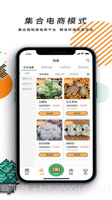 一植拍截图2 一植拍截图2