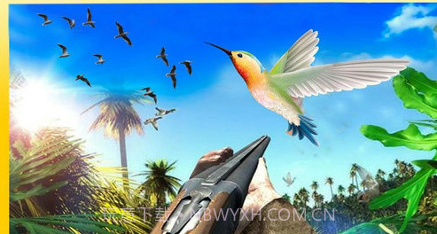 猎鸟大师截图3 猎鸟大师截图3