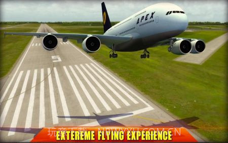 终极飞行模拟3D截图1
