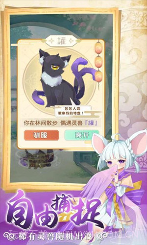 全民养灵兽截图3