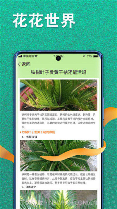 植物视界截图2 植物视界截图2