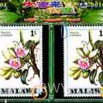 IGS经典游戏大合集截图1