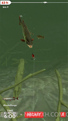 真实3D钓鱼APP截图2