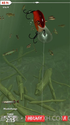 真实3D钓鱼APP截图3