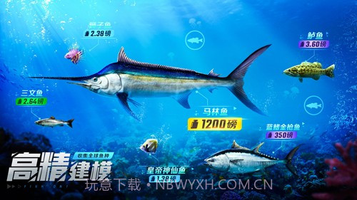 欢乐钓鱼大师无广告截图4 欢乐钓鱼大师无广告截图4