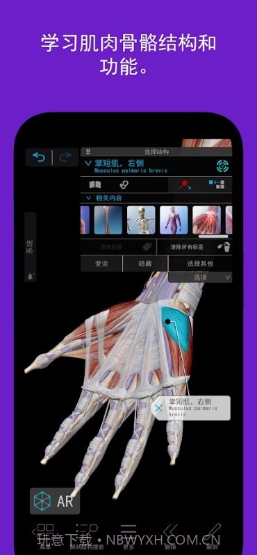 人体解剖学图谱截图2 人体解剖学图谱截图2