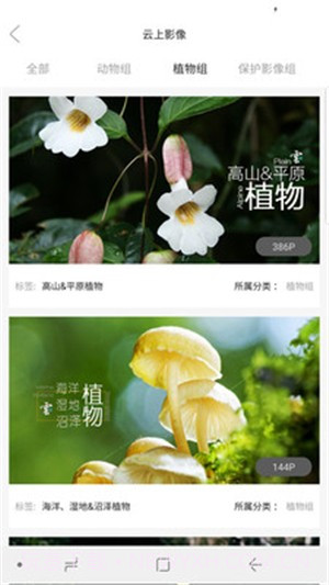 云上中国截图3 云上中国截图3