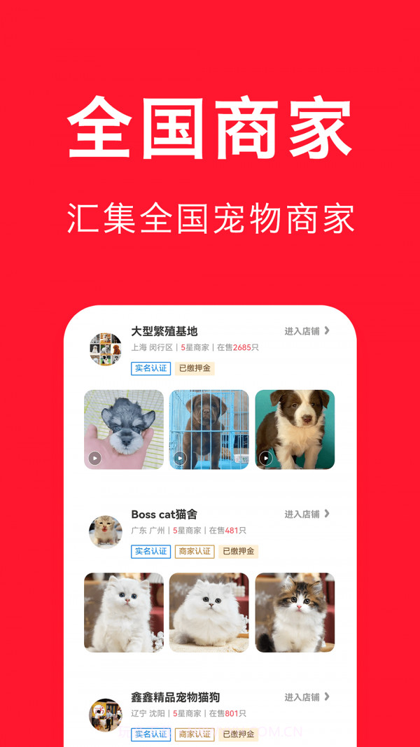 宠物宝截图2 宠物宝截图2