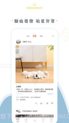 MeowMate截图3 MeowMate截图3
