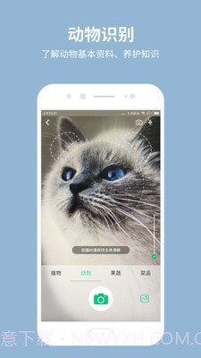 拍照识花宝截图1 拍照识花宝截图1