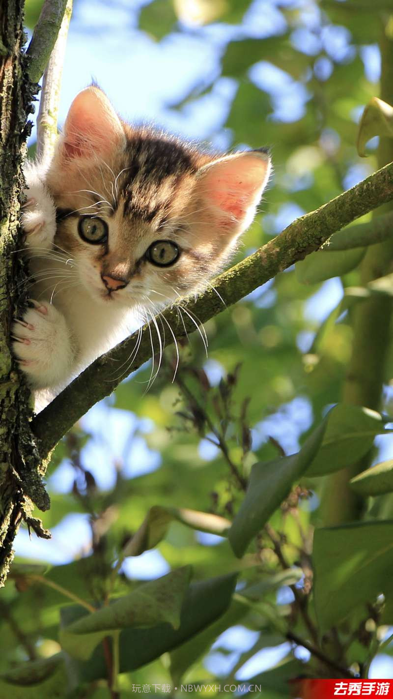 Cam0.618截图2 Cam0.618截图2