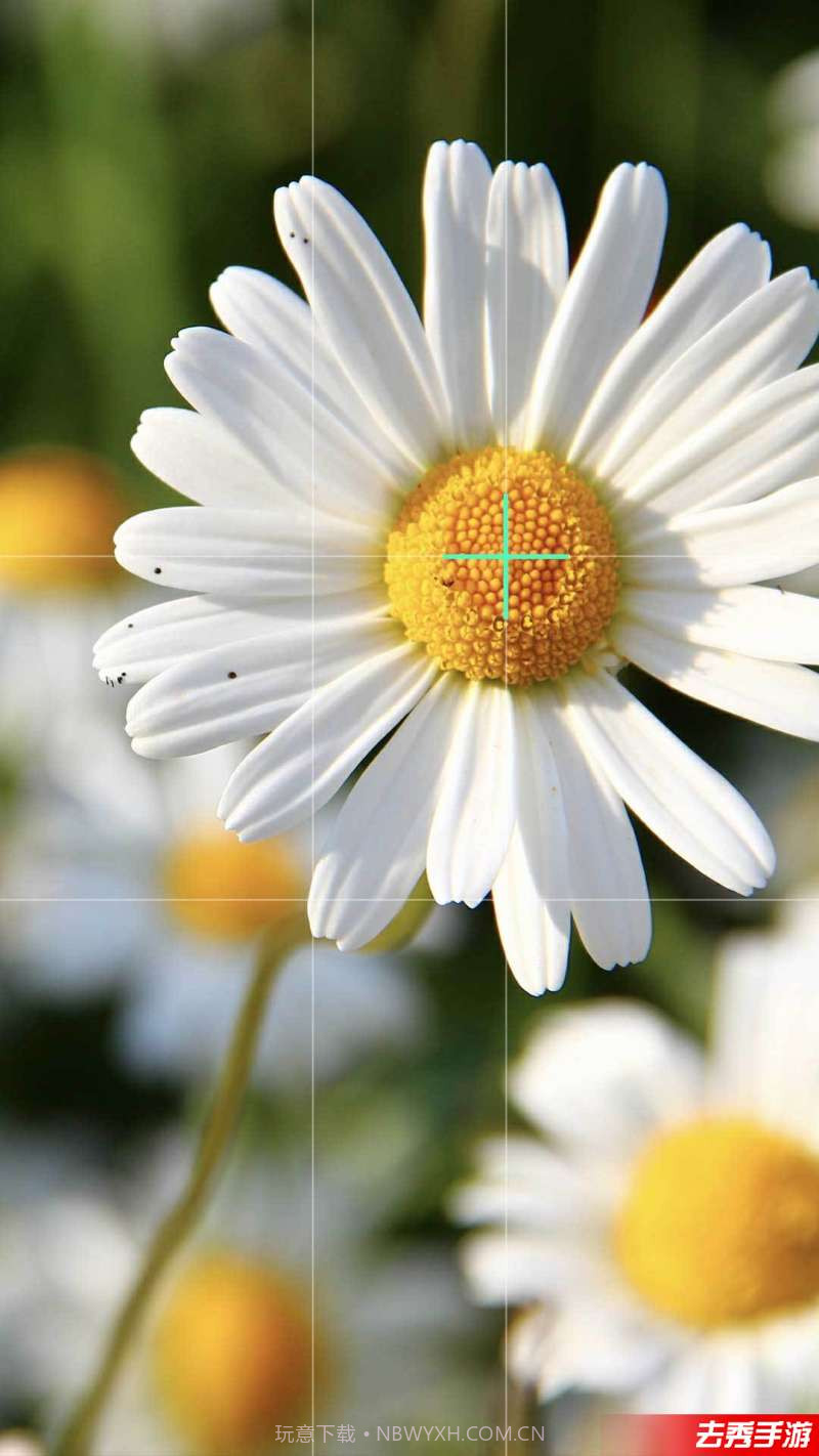 Cam0.618截图3 Cam0.618截图3